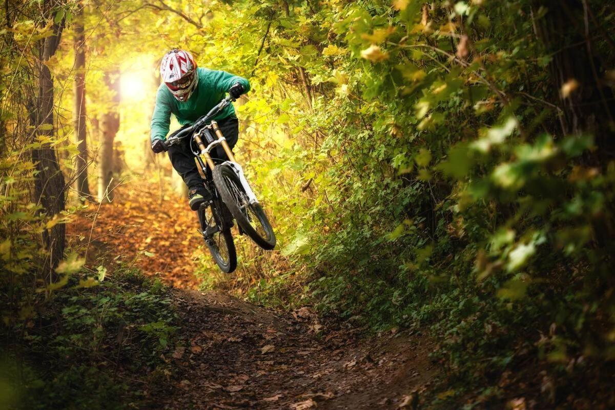 Close To Hiawatha Tr And Biking With Hot Tub ウォレス エクステリア 写真